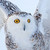 :iconsnowy-owl963: