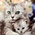 :iconsnowy0121: