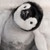 :iconsnowy15708: