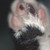 :iconsnowybird: