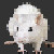:iconsnowyrat: