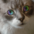 :iconsnowywhite-00: