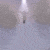 :iconsnowywolfgirl: