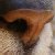 :iconsnozz-the-woo: