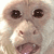 :iconsnufalufagus: