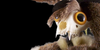 :iconsnuff-stuffie-realm: