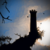 :iconsnufkinson: