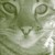:iconsnuzzii: