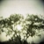 :iconsnwbrdrchick361: