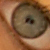:iconso-walker:
