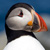 :iconsoak2179: