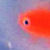 :iconsoapyfish: