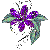 :iconsoardent: