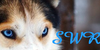 :iconsoaring-wings-ranch: