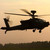 :iconsoaringeagle05: