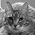 :iconsoaringsinger: