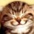 :iconsoaringvanillacub104: