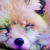 :iconsoarr-able: