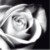 :iconsobesomething: