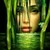 :iconsobol652: