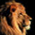 :iconsobreiradesign: