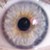 :iconsockart: