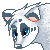 :iconsockhusky:
