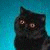 :iconsocreepy: