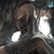 :iconsodenoshirayuki07: