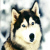 :iconsodexnoxhi: