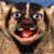 :iconSofaGopher: