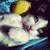 :iconsofas123: