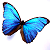 :iconsofiatsukikoblutifly: