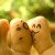 :iconsofreeforthemoment: