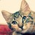 :iconsoft-rains: