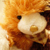 :iconsoftgreenlight: