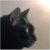 :iconsoftlyrainingsky: