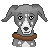:iconsoftwhippet: