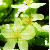 :iconsofylull: