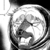 :iconsofytofychiby999: