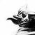 :iconsoge-king: