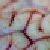 :iconsoheib: