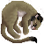 :iconsohlcain: