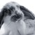 :iconsohma-lover25: