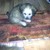 Sohtah :iconsohtah: