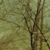 :iconsoil-soil:
