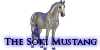 :iconsokimustangregistry: