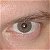 :iconsol-the-beast: