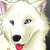 :iconsol-the-white-wolf: