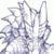 :iconsolanusdracon: